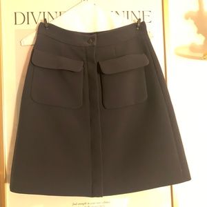 Goop G Label  Rodich A-Line Miniskirt